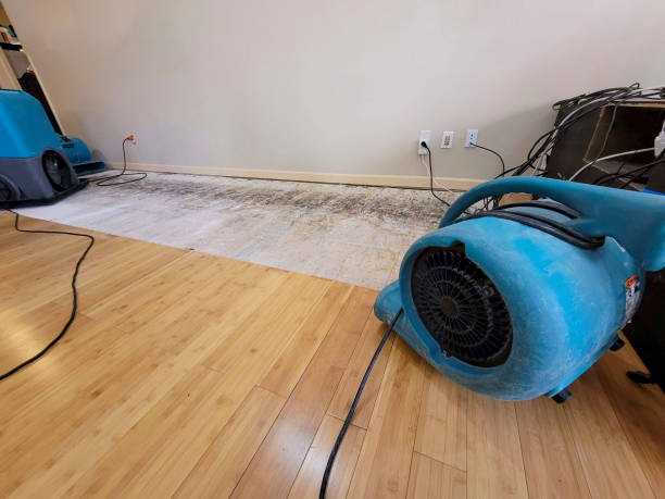 Professional Flood Damage Cleanup technician working in Barry, TX